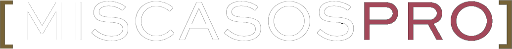 software de gestión de casos profesionales con inteligencia artificial